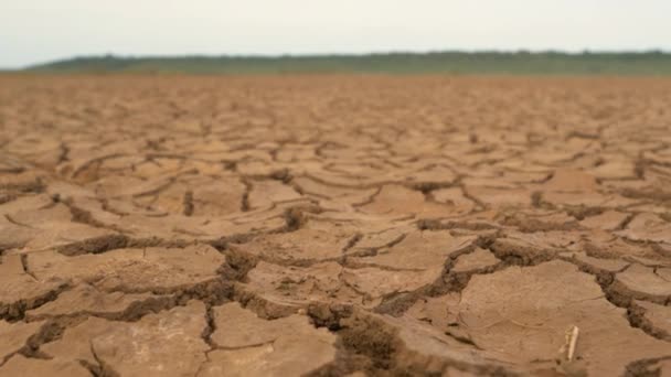 Chiudi Grande Superficie Terreno Incrinato Causata Una Lunga Pescaggio Paesaggio — Video Stock