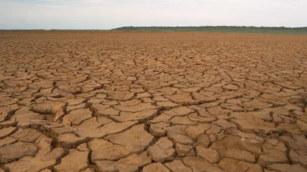 Закрытие Большая Площадь Трещины Почвы Вызванной Длительным Просачиванием Коричневые Высушенные — стоковое видео