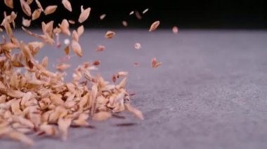 Gri yüzeye düşen buğday tanecikleri ve keten tohumları yığını. Tohum karışımının düşüşünün ayrıntılı görünümü. Yavaş çekimde dağınık buğday ve keten tohumu.