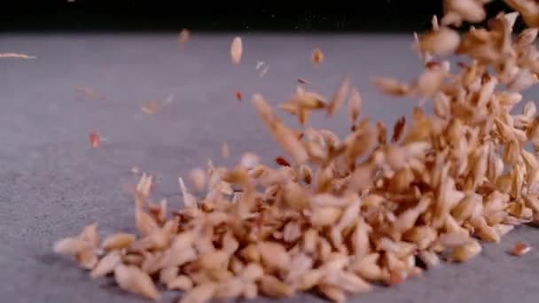 超スローモーション クローズアップ プローブレンズ 灰色の表面に小麦粒と亜麻仁のドロップパイル 種子混合物の詳細なビューが低下します スローモーションで散乱小麦とリネード — ストック動画