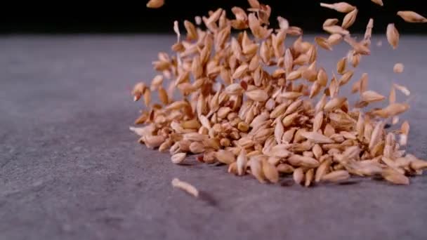 Super Slow Motion Fechar Probe Lens Pilha Solta Grãos Trigo — Vídeo de Stock