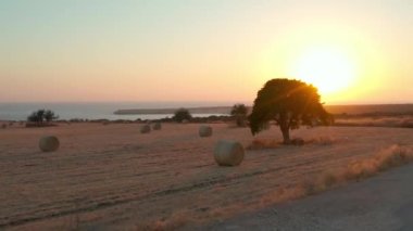 Bir dron bir ağaç ve biçilmiş saman balyalarıyla bir tarlanın üzerinden uçuyor. Kıbrıs