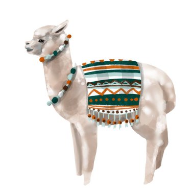 Suluboya alpaka. Lama yüksek kalite illüstrasyon. Beyaz bir arkaplanda izole edilmiş