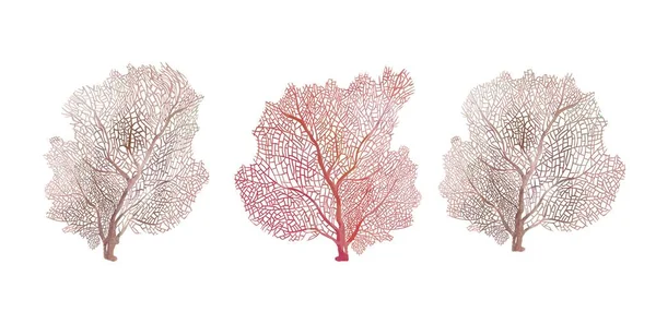 Set acquerello di corallo beige. Isolato di sfondo bianco — Foto Stock