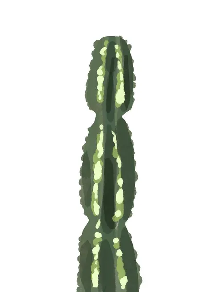 Cactus aquarelle, isolé sur fond blanc — Photo