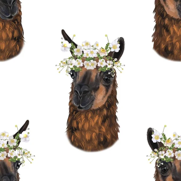 Akwarela bezszwowy wzór Lama i Alpaca w kwiatach — Zdjęcie stockowe