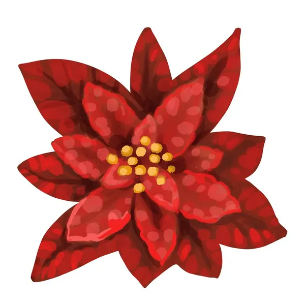 Aquarel Poinsettia. Kerstster. Kerst bloem geïsoleerd op een witte achtergrond — Stockfoto