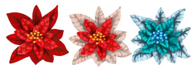 Suluboya Poinsettia. Noel yıldızı. Beyaz bir arka planda izole edilmiş Noel çiçeği