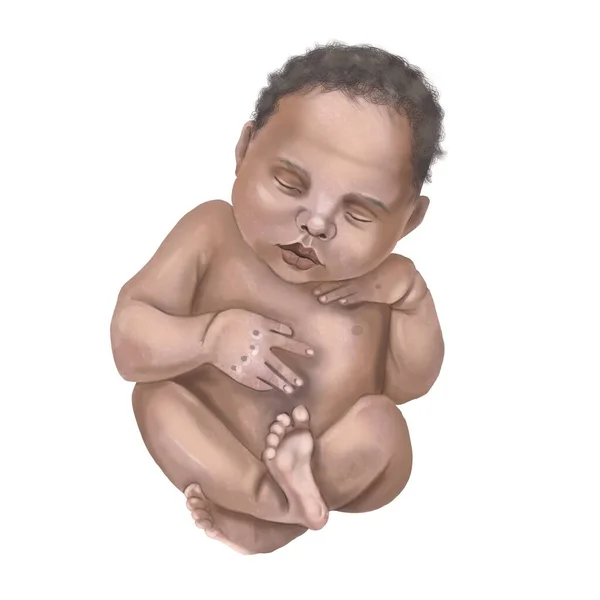 아프리카 계 미국인 아기가 자고 있다. 갓 태어난 아기를 상징하는 색채 삽화. — 스톡 사진
