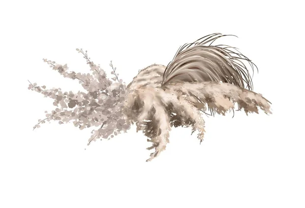 Watercolor pampas grass isolated on a white background. Bouquet of dry herbs. Fashionable decor — Stock Photo, Image