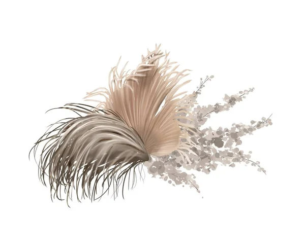 Watercolor pampas grass isolated on a white background. Bouquet of dry herbs. Fashionable decor — Stock fotografie