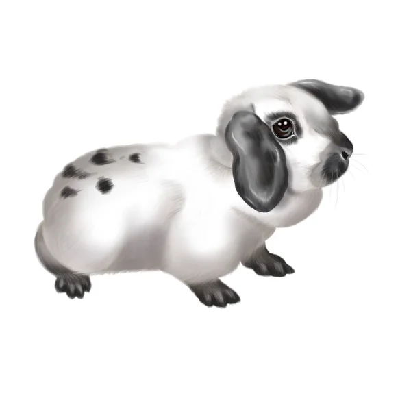 Watercolor realistic black and white rabbit. Illustration of a bunny. oar-eared breed — Stock Photo, Image