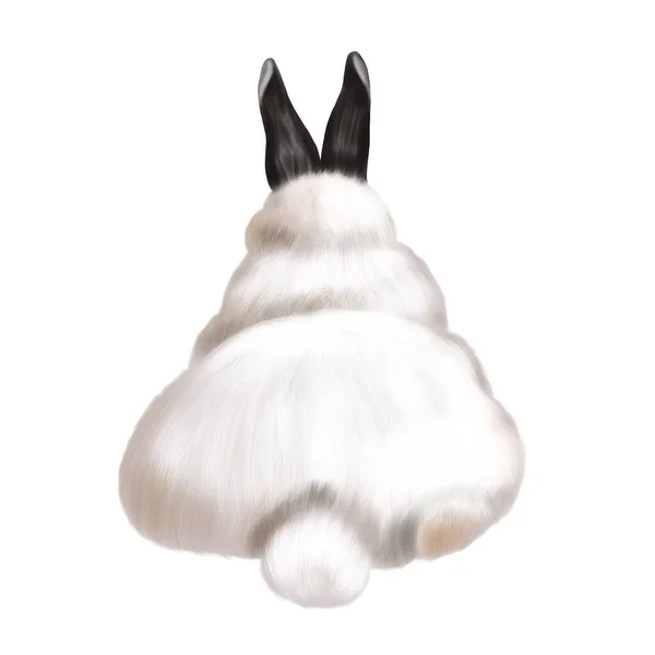 Watercolor realistic white rabbit with black ears back. Illustration of a bunny. hare ass — Stock Photo, Image