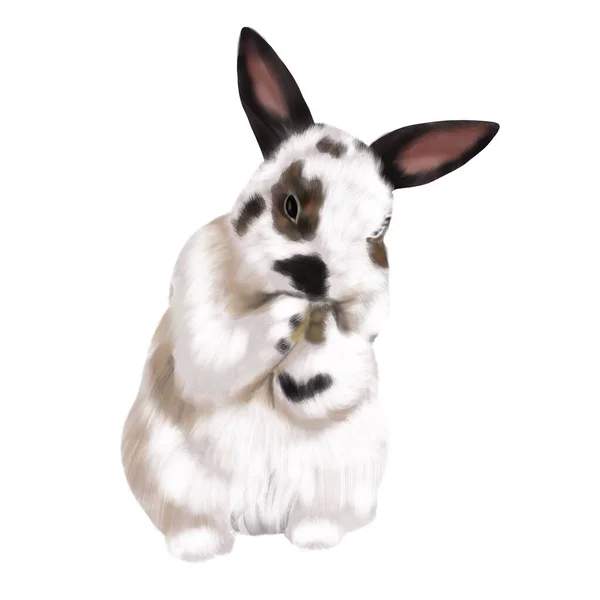 Watercolor realistic tricolor rabbit. Illustration of a bunny. The hare washes. — Stock Photo, Image