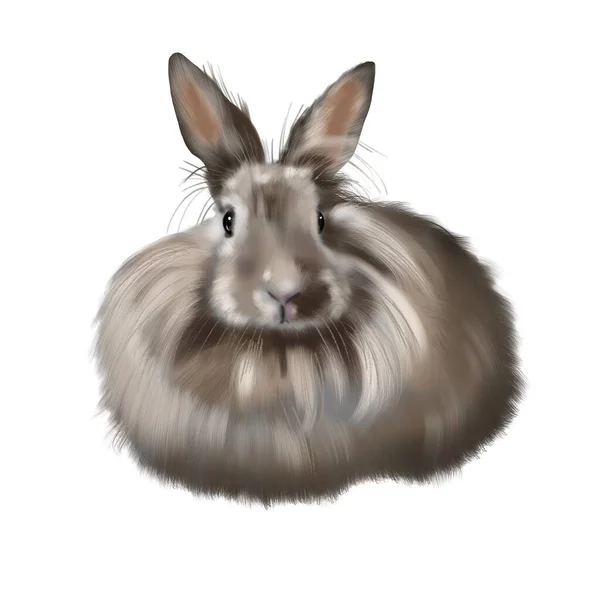 Watercolor realistic red rabbit. Illustration of a bunny. long-haired rabbit — Stock Photo, Image