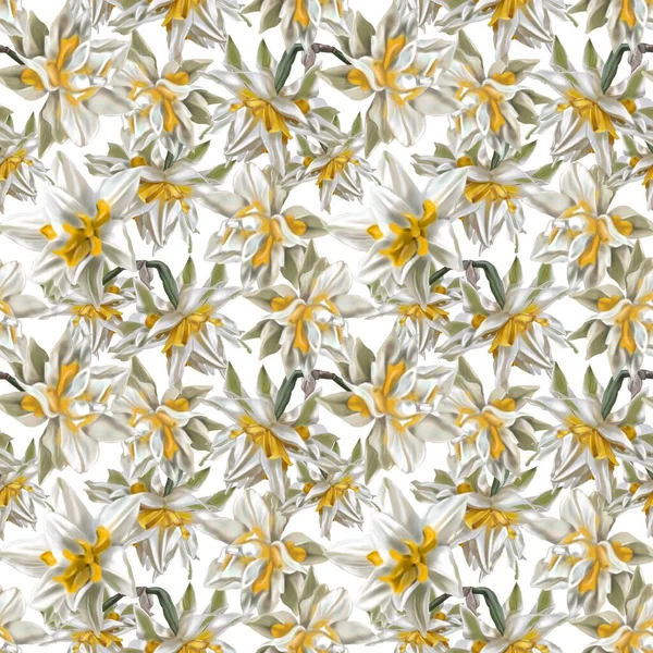 Wzór bezszwowy akwarela. Białe tulipany frotte z żółtymi płatkami. Kwiaty Druk cyfrowy — Zdjęcie stockowe