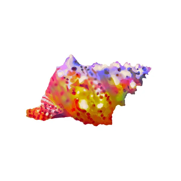 Aquarelillustratie van regenboogkleurige schelp. Heldere schelpen — Stockfoto