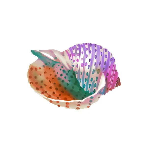 虹色のシェルの水彩イラスト。明るい貝殻 — ストック写真