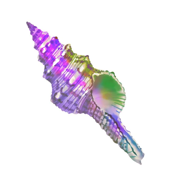 虹色のシェルの水彩イラスト。明るい貝殻 — ストック写真