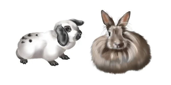 Un conjunto de conejitos realistas. Ilustración en acuarela de conejos de colores sobre fondo blanco — Foto de Stock