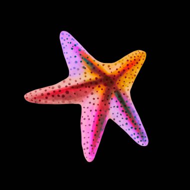 Siyah arka planda izole edilmiş denizyıldızı suluboya resmi. Suluboya resimler, deniz hayvanı resimleri..