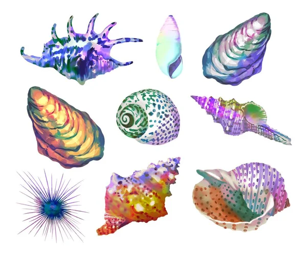 海洋彩虹色的一组水彩画.色彩艳丽的套装：贝壳、海星和海胆 — 图库照片
