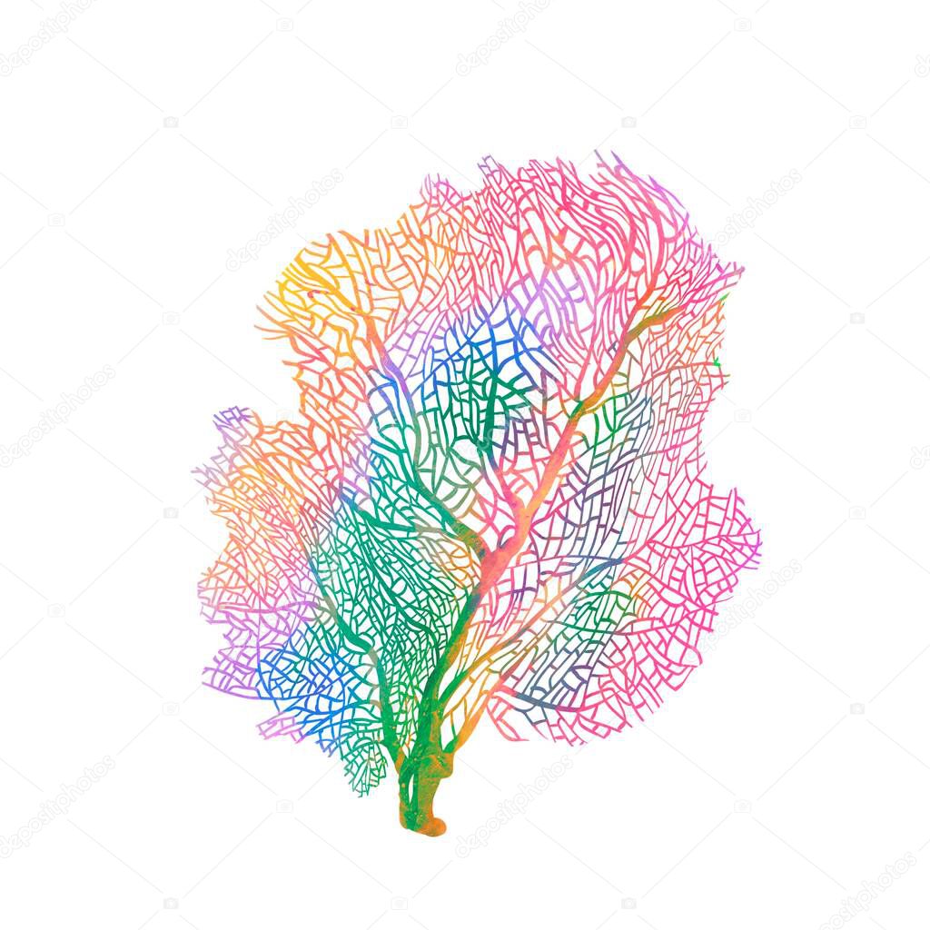 Beautiful underwater composition with watercolor sea life coral stock illustrations. High quality illustration
