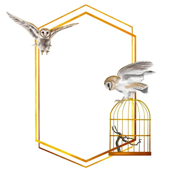 Акварельна золота рамка з совою сарай. Реальна ілюстрація з совами — стокове фото