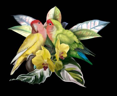 Bird of Paradise. Tropical bouquet. lovebird parrots, monstera leaves and orchids. realistic illustration. High quality illustration