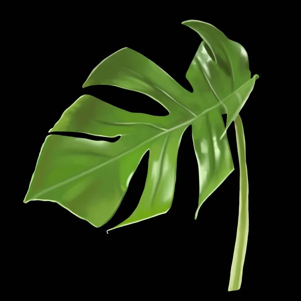 Leaf Monstera Tropical Leaf Watercolor Monstera Black Background High Quality — Stock Photo, Image