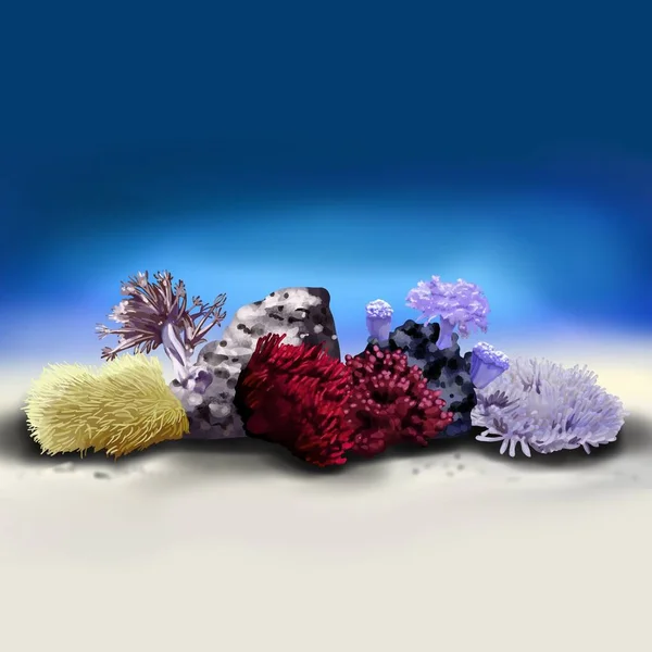 Watercolor Illustration Seabed Corals Rocks Sand High Quality Illustration — ストック写真