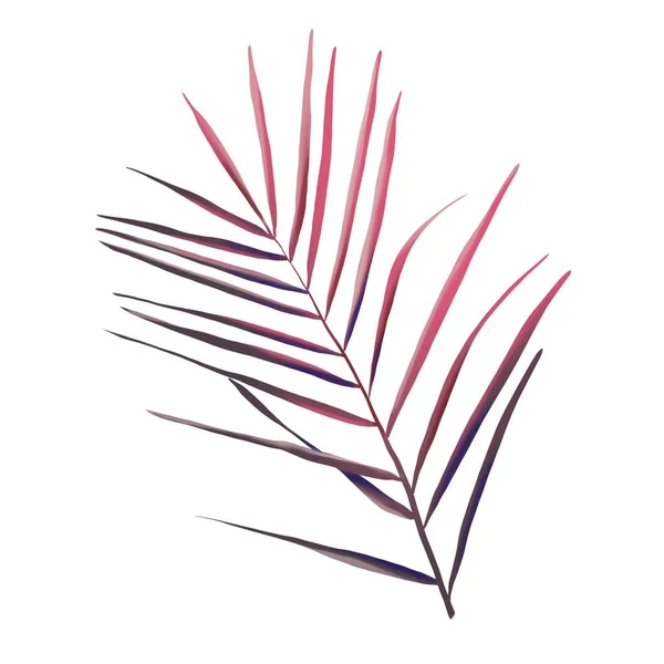 Watercolor Pink Palm Leaf Tropical Foliage Isolated White Background High — Stok fotoğraf