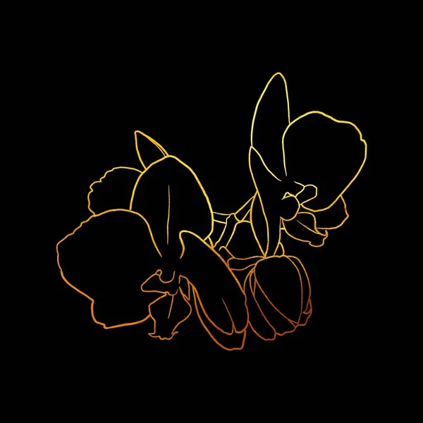 golden linear art. Golden orchid. Graphic illustration on a black background. High quality illustration