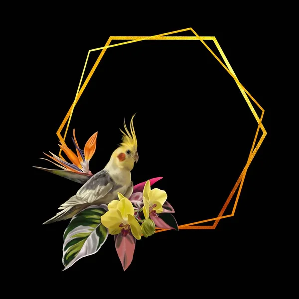 Акварельна Реалістична Рамка Тропічна Рамка Королівським Папугою Орхідеями Строліцією Високоякісна — стокове фото