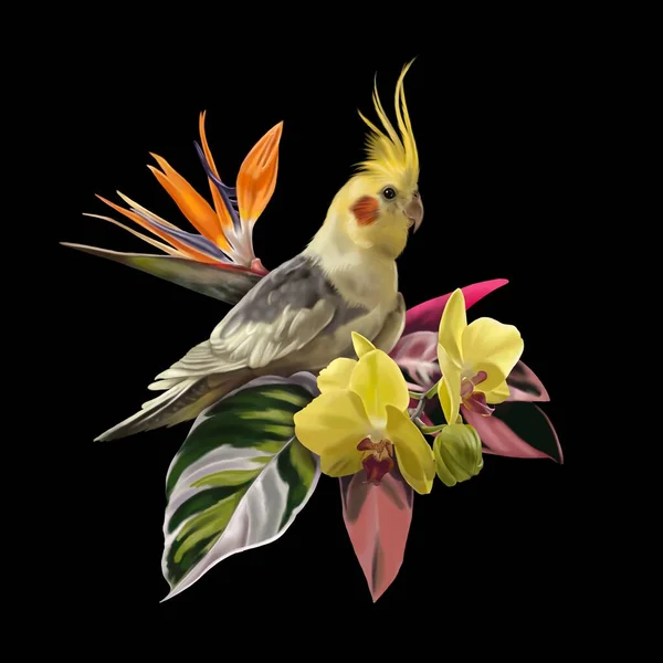 Watercolor Composition Parrot Corella Orchid Strelitzia Tropical Illustration High Quality — 图库照片