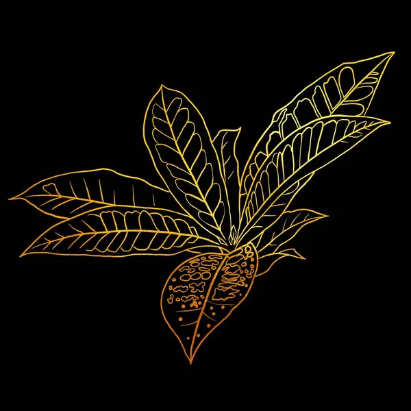 golden linear art. Golden tropical leaves. Graphic illustration on a black background. High quality illustration