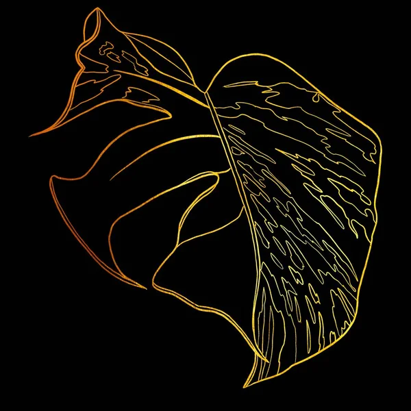 golden linear art. Golden Monstera. Graphic illustration on a black background. High quality illustration