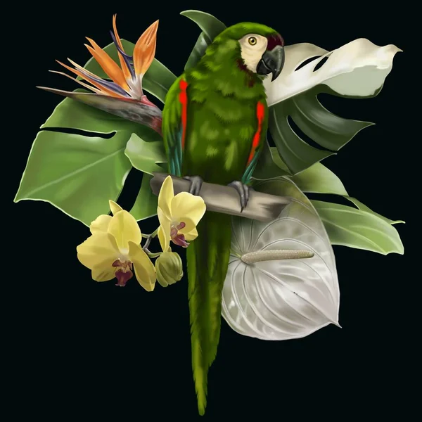 Bird of Paradise. Tropical bouquet. green Macaw, monstera leaves and orchids. realistic illustration. High quality illustration