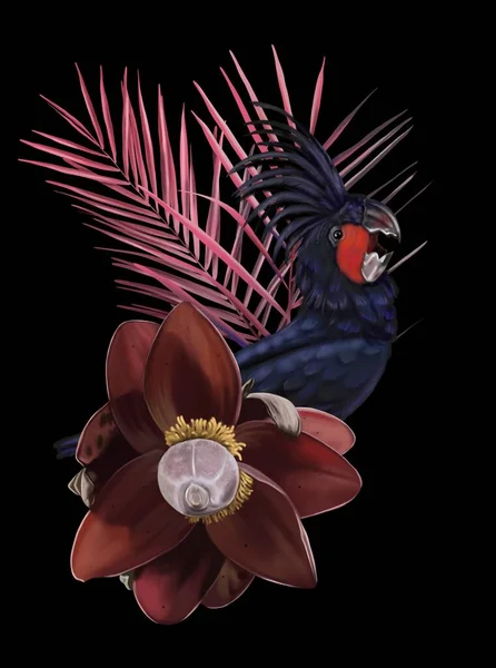 Bird Paradise Tropical Bouquet Palm Cockatoo Palm Leaves Banana Flower — 图库照片