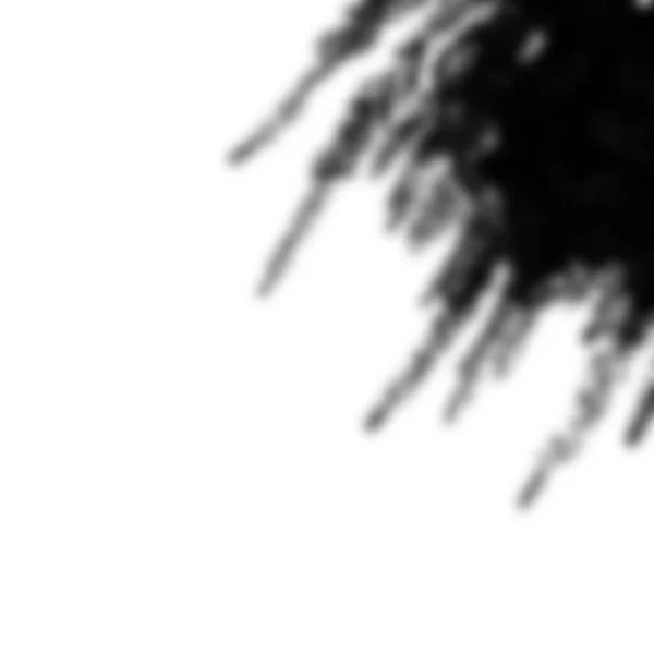 Realistic Shadow Palm Tree Black Shadow Leaves Plant High Quality — Zdjęcie stockowe