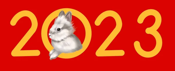 Happy Chinese New Year Greeting Card 2023 Rabbit Animal Holidays —  Fotos de Stock