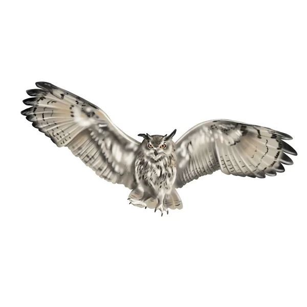 Akvarell Illustration Uggla Flygande Fågelskrämma Familjen Uggla Högkvalitativ Illustration — Stockfoto