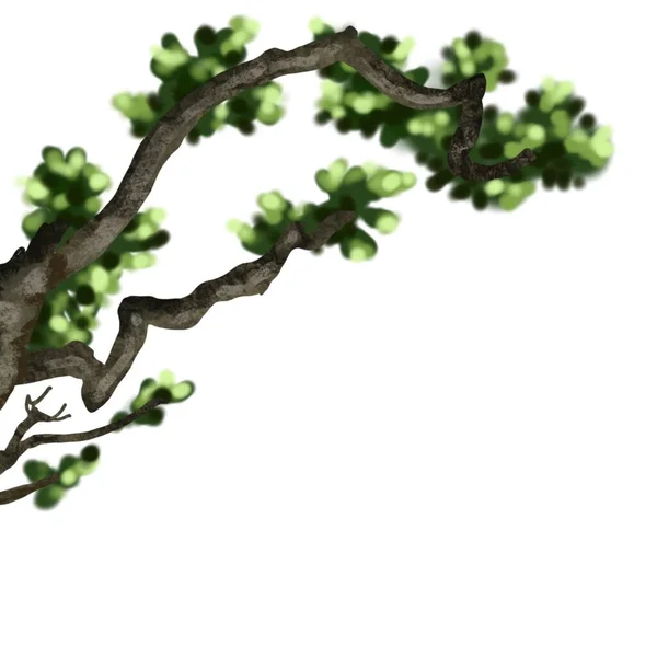Watercolor Tree Branch Illustration Tree Branch Green Foliage High Quality — Stock Photo, Image