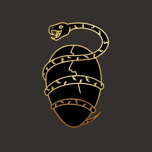 アカシャの卵 ヘビとタロットカードの卵 宇宙の卵だ 暗い背景に金色の線が描かれています 高品質のイラスト — ストック写真