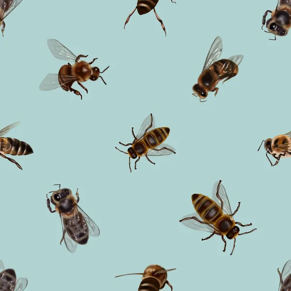 Patrón Sin Costura Acuarela Abejas Melíferas Ilustración Realista Abejas Ilustración — Foto de Stock