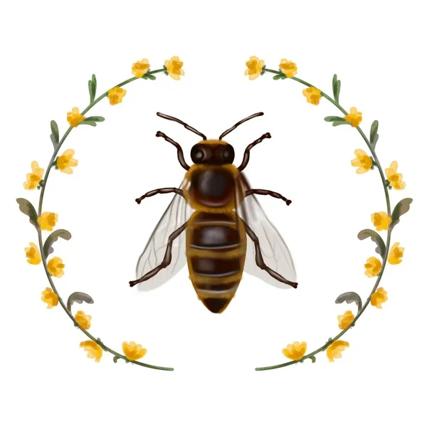 Мед Композиция Акварель Реалистичная Иллюстрация Меда Цветов Сотов Пчел Высокое — стоковое фото