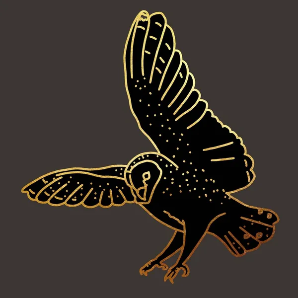 一个谷仓猫头鹰的例子 一只会飞的鸟深色背景上有金色线条的图解 高质量的例证 — 图库照片