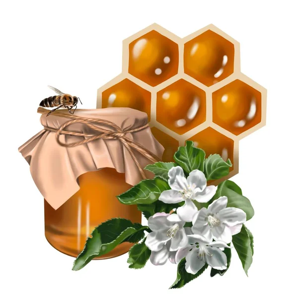 Složení Medu Akvarel Realistické Ilustrace Medu Květin Plástů Včel Vysoce — Stock fotografie