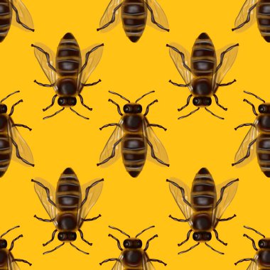 Bal arılarının gerçekçi, pürüzsüz deseni. Arıların suluboya arka planı. Yüksek kaliteli illüstrasyon