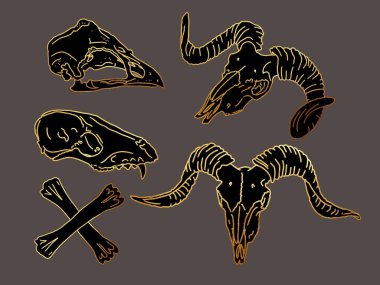 Altın çizgi. Grafik seti. Hayvan kafatasları doğrusal sanat. Yüksek kaliteli illüstrasyon